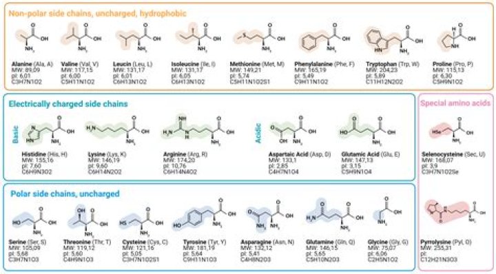 Are all amino acids ionizable?