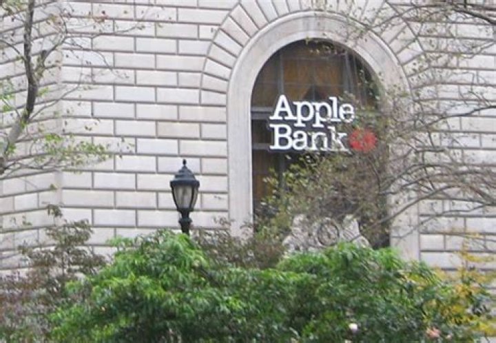 Are banks privately owned?