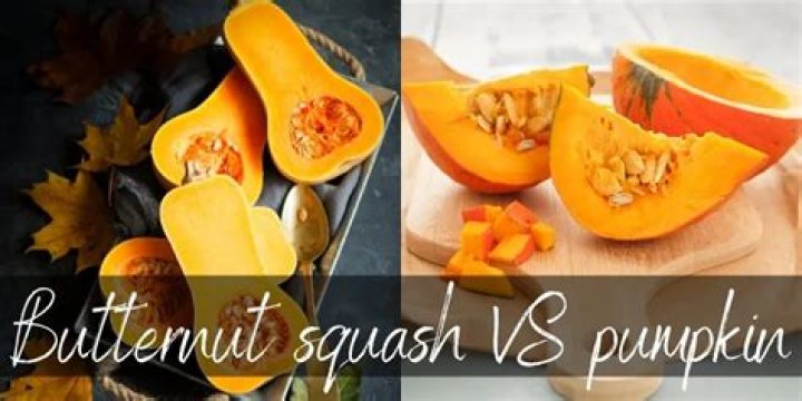 Are butternut squash and pumpkin the same?