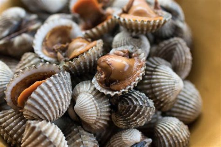 Are cockles bad for you?