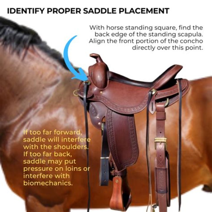 Are hennig saddles adjustable?