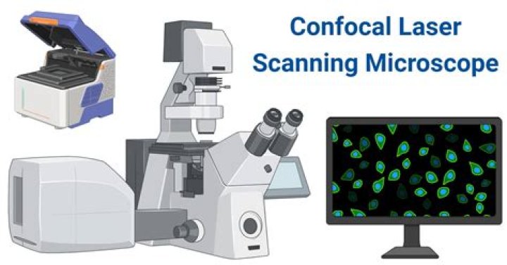 Are laser scanning confocal microscopes expensive?