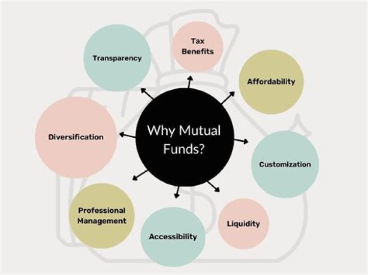 Are mutual funds unitized?