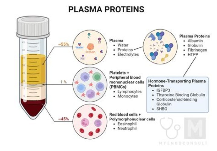 Are plasma proteins in filtrate?
