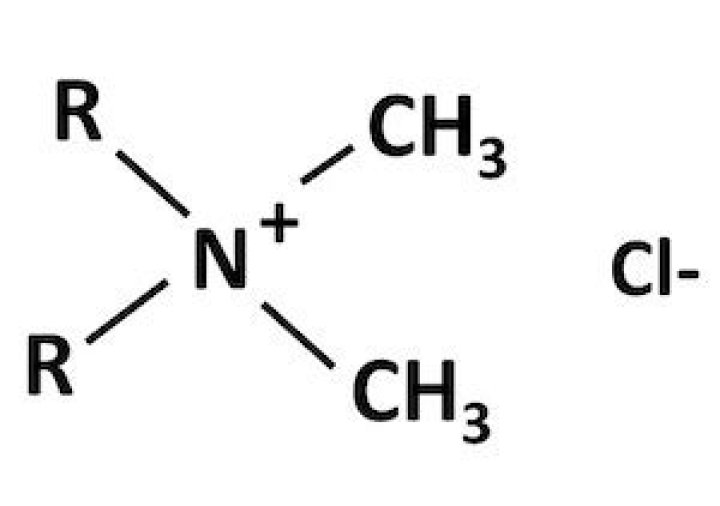 Are quaternary ammonium compounds sporicidal?