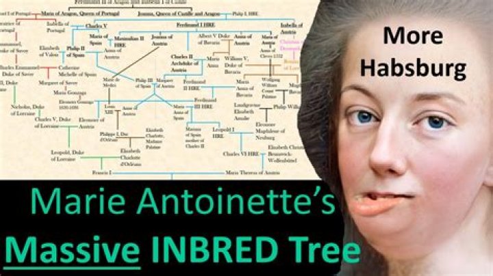 Are there living habsburgs?