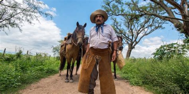 Are vaquero and gaucho the same?