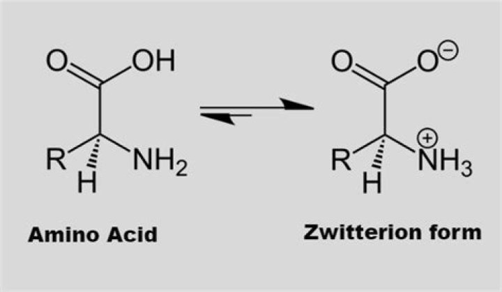 At what ph amino acid exist as zwitterion?