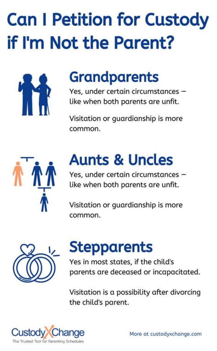 Can a aunt get visitation rights?