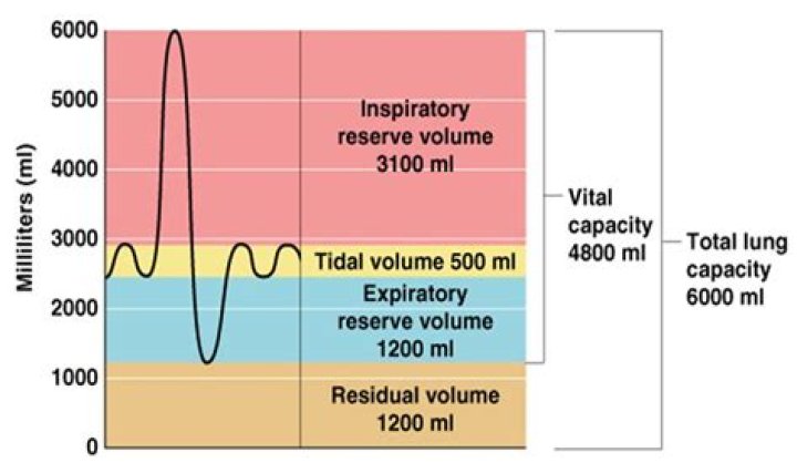 Can a spirometer measure residual volume?