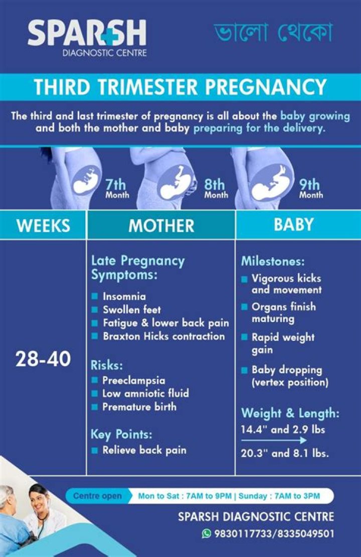 Can birth defects occur in third trimester?