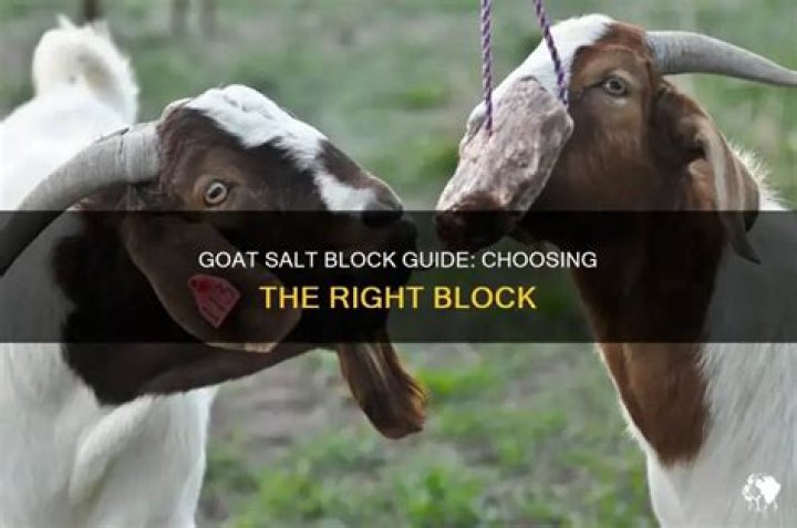 Can goats eat mineralized salt?