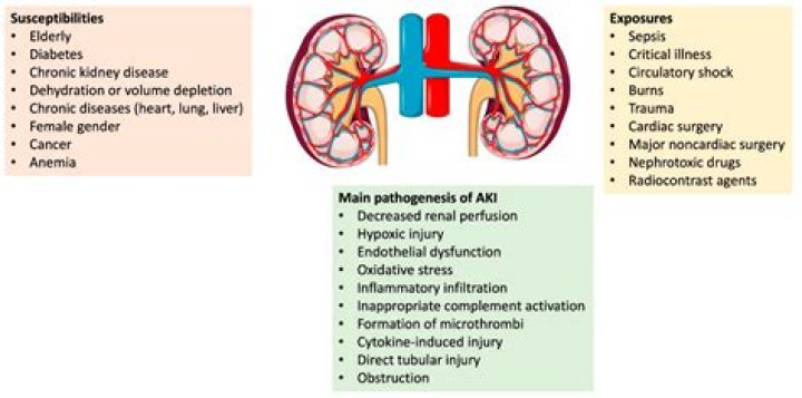 Can plasmapheresis affect your kidneys?