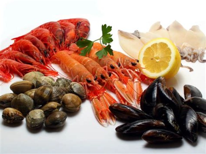 Can pregnant eat shellfish?