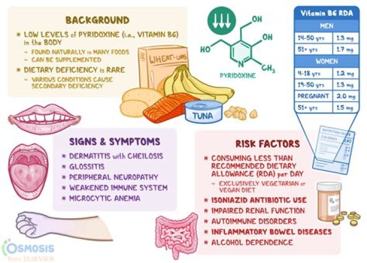 Can pyridoxine cause nausea?
