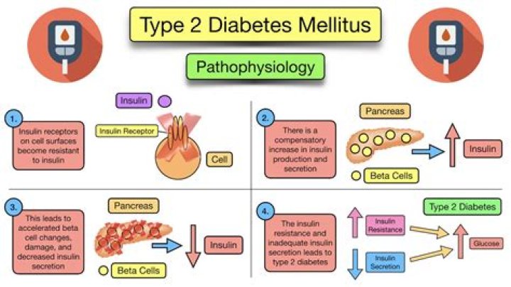 Can you be predisposed to type 2 diabetes?