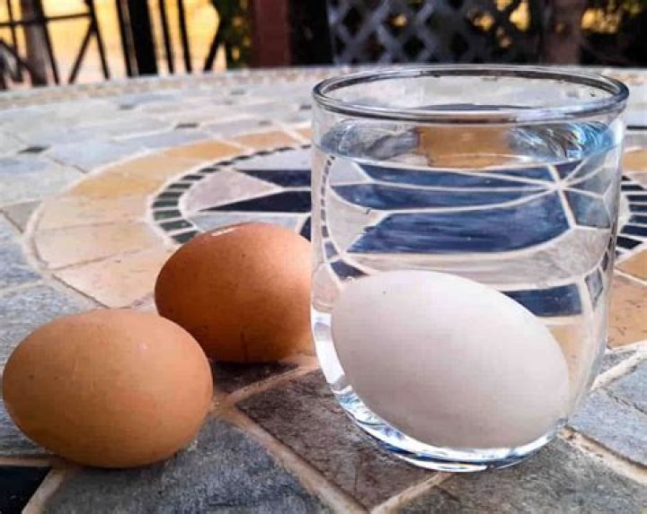 Can you eat expired eggs?