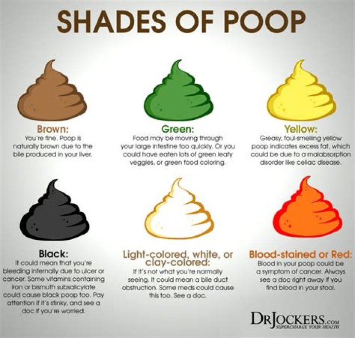 Can you poop out fat?
