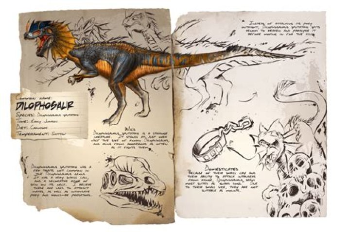 Can you ride a dilo in ark?