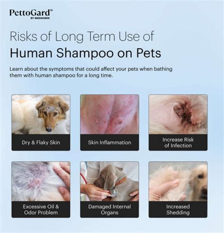 Can you use human shampoo on dogs?