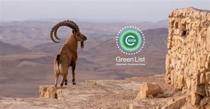 Could rhodes be on the green list?