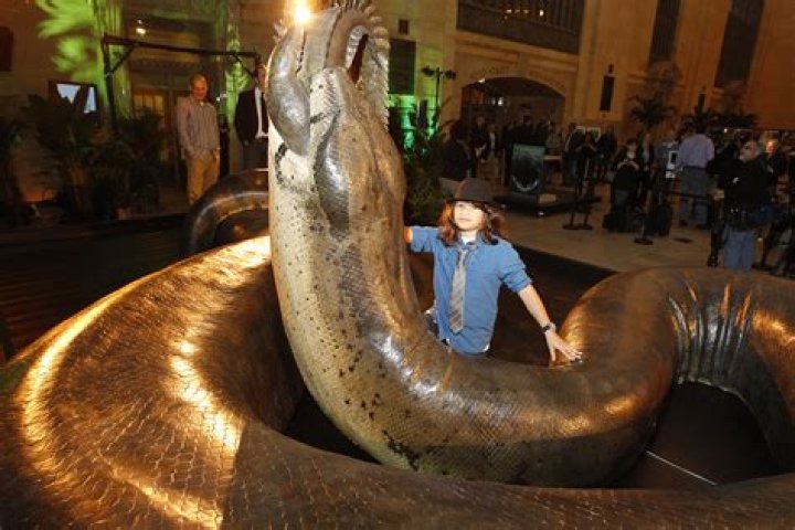Could titanoboa still exist?