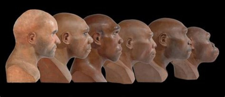 Did humans exterminate neanderthals?