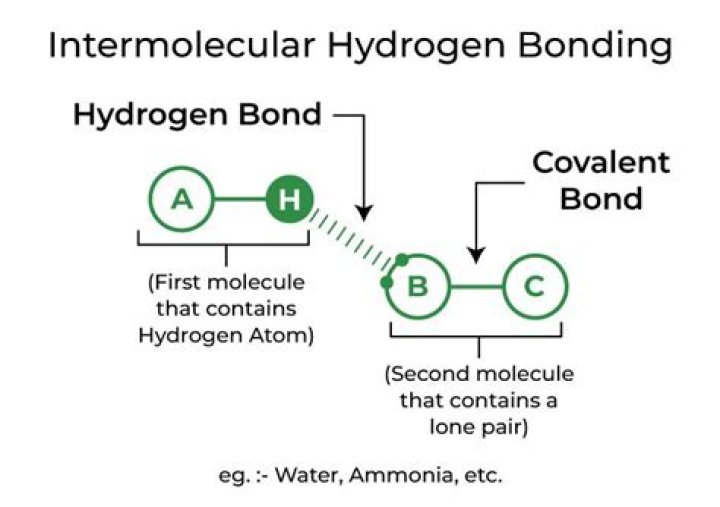 Do acid anhydrides have hydrogen bonding?