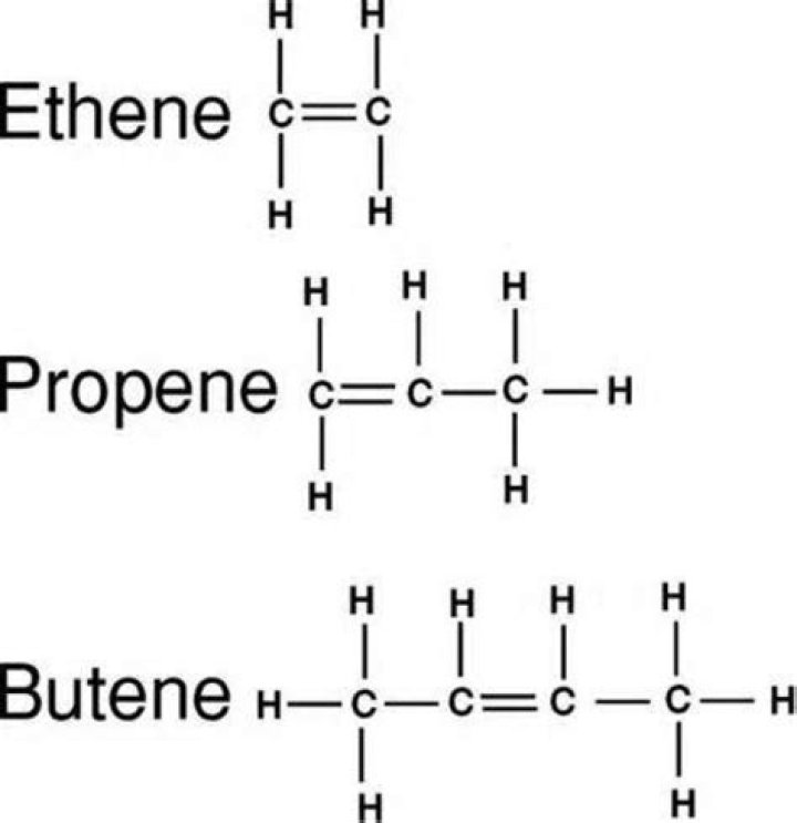 Do alkanes have double bonds?
