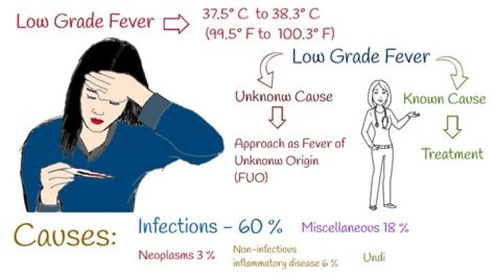 Do allergies cause low grade fever?