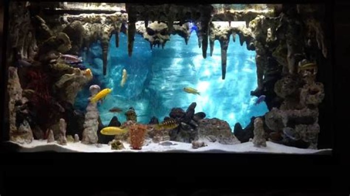 Do aquarium backgrounds go inside outside?