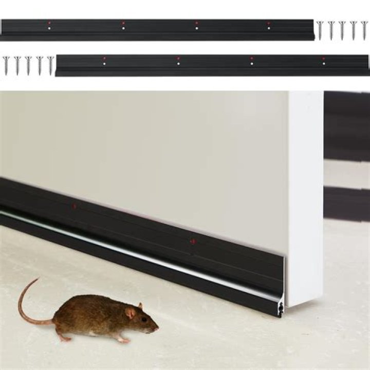 Do draught excluders stop mice?