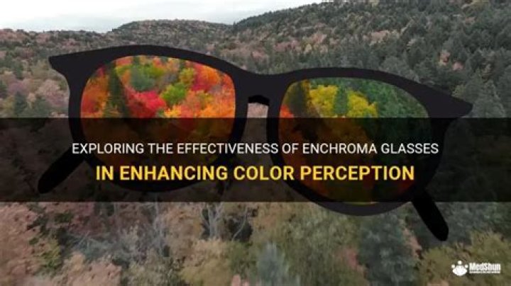Do enchroma glasses work?
