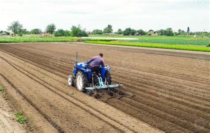 Do farmers still plough?