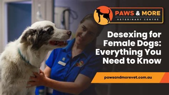 Do female dogs bleed after desexing?