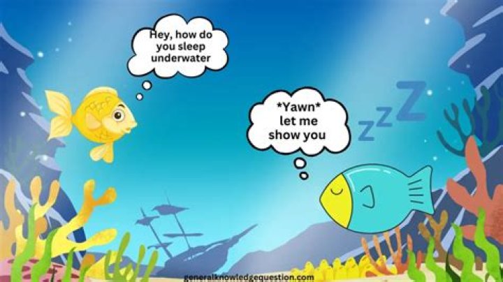 Do fish really sleep?