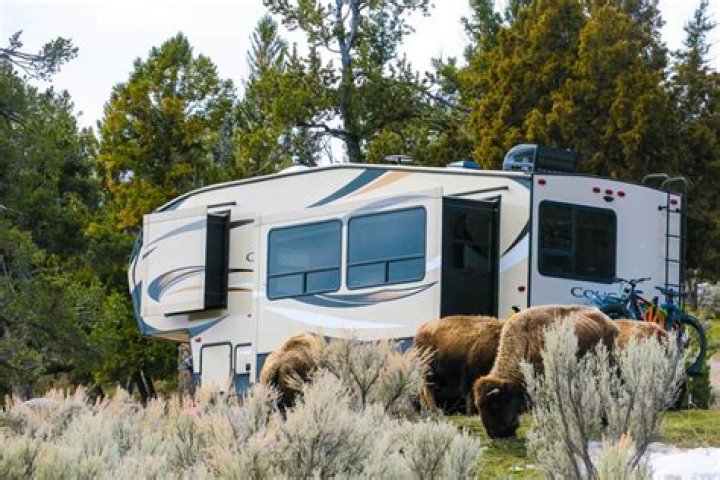 Do national park campgrounds have electricity?