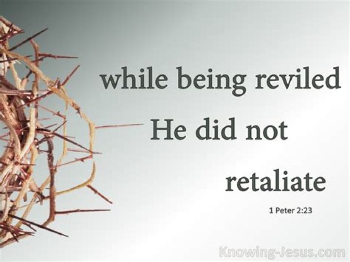 Do not revile meaning?