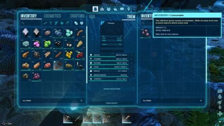 Do phiomia get berries?