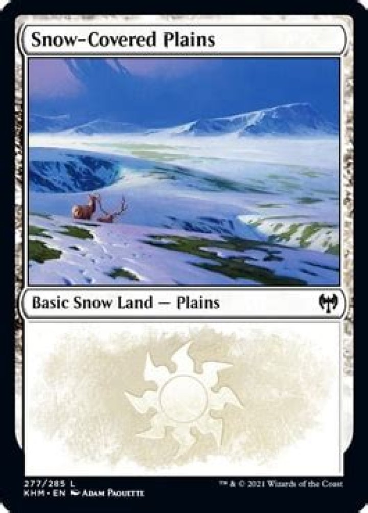 Do snow covered lands count as basic?