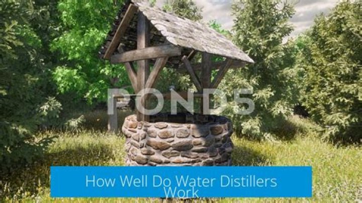 Do water distillers work?