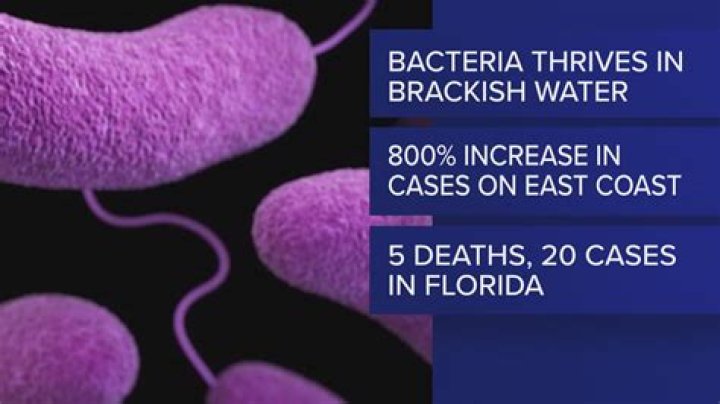 Does flesh eating bacteria live in cold water?