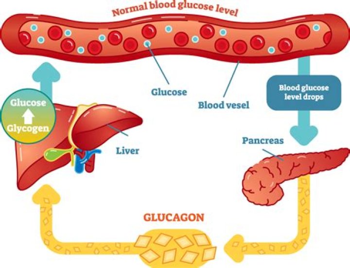 Does glucose contain sugar?