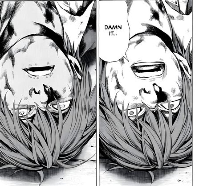 Does light die in death note?