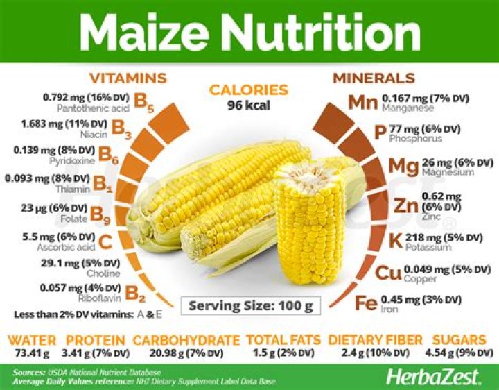 Does maize increase weight?