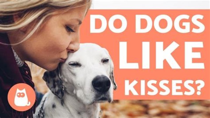 Does my dog like kisses?