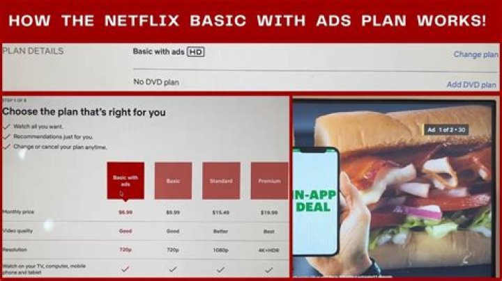 Does netflix have priceless?