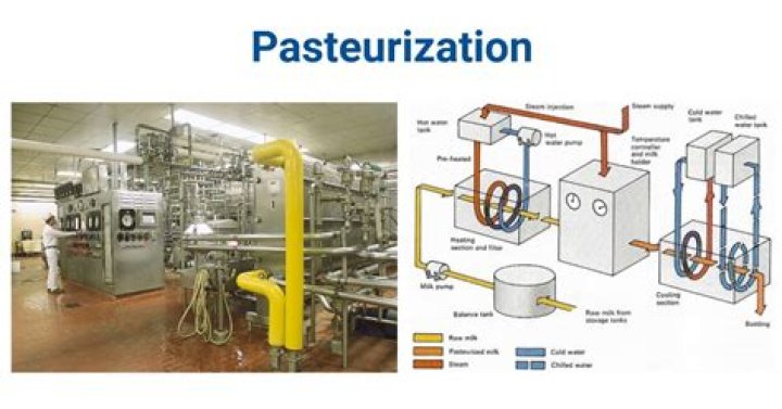 Does pasteurization kill brucella?