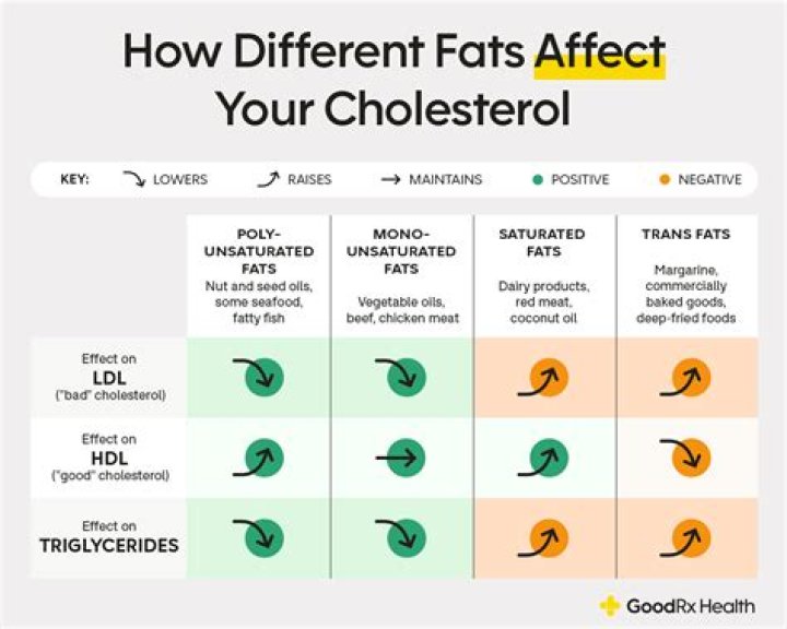 Does polyunsaturated fat increase cholesterol?