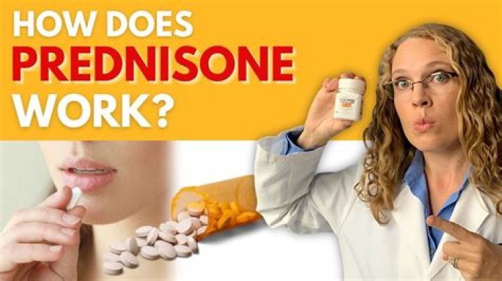 Does prednisone help with autoimmune diseases?